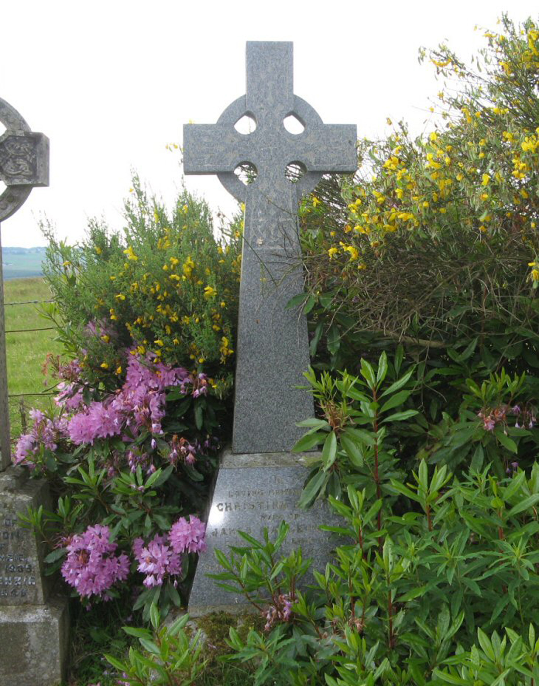 Photo of headstones/James MacLennan died 1918 MI Dingwall Mitchell Hill
